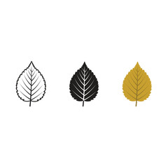 Fototapeta premium Beech Leaf Vector Set – Outline, Silhouette and Colored Versions, Autumn Beech Tree Leaf Botanical Collection, Beech Leaf Trio Nature Illustration