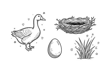 Hand-drawn goose, nest, egg, and grass: vintage farm elements
