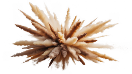 Brown and beige powder explosion isolated on a transparent background