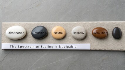 Smooth contrasting colored stones arranged in a spectrum of feeling, signifying balance and mindfulness
