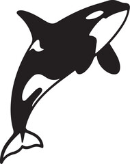Obraz premium Black and White Silhouette of a Leaping Orca Whale killer whale marine mammal on transparent background