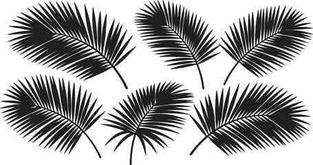 Obraz premium Black Silhouette Palm Fronds on White Background leaf on transparent background