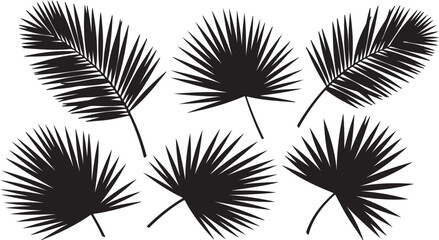 Black Silhouette Palm Fronds on White Background tropical on transparent background