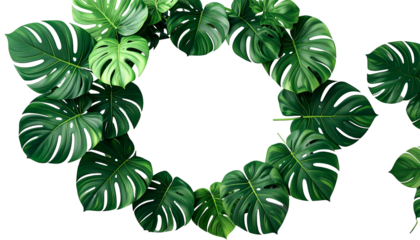 Lush green monstera leaves form a circular frame around a black void