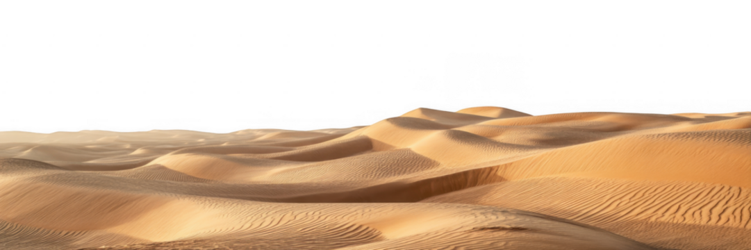 Golden sand dunes with rippled textures under a black sky isolated on a transparent background 1 - Powered by Adobe