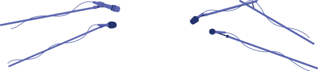 Press microphones. Speech broadcasting. Conference sound record