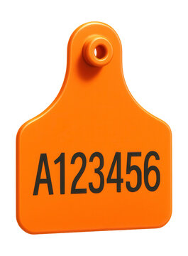 Fluorescent orange plastic ear tag featuring an alphanumeric code.