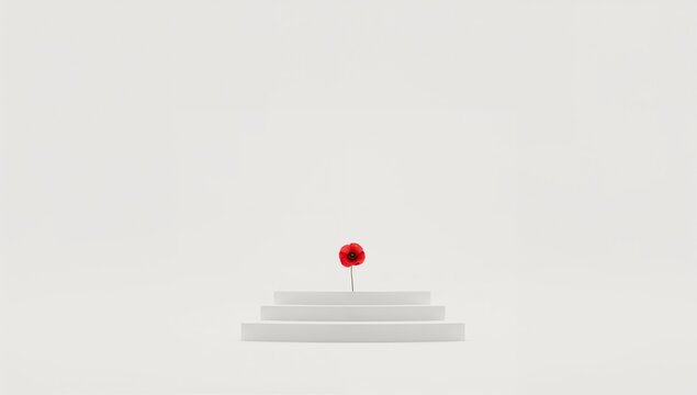 Red flower on minimalist white pedestal in serene environment, remembrance day
