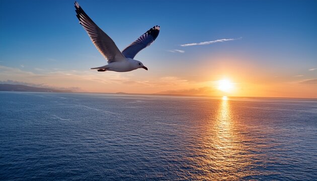 seagull soaring above sunrise ocean