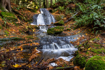 waterfall in autumn forest