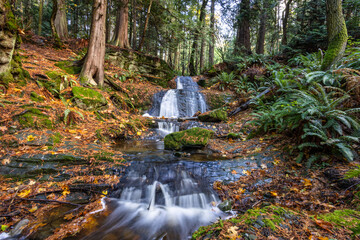 waterfall in the forest