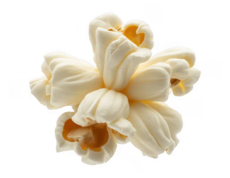 Close up of popped corn kernel with fluffy white edges and yellow center isolated on a transparent background