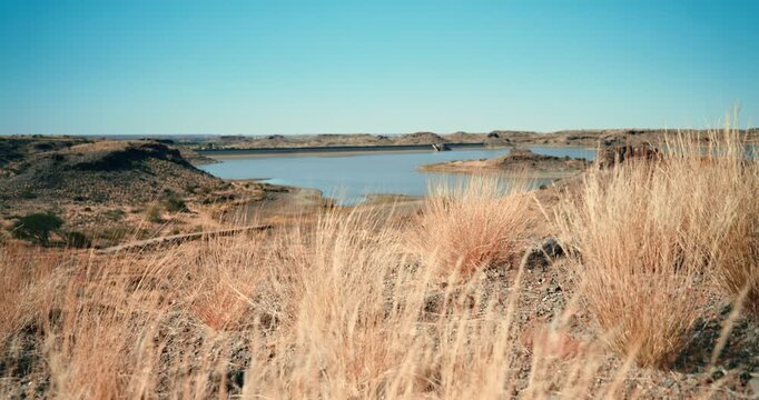 Tall dry grass moves in the desert wind, with a distant water reservoir in the background, creating a stark, dystopian landscape under soft daylight in Namibia.