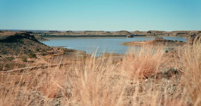 Tall dry grass moves in the desert wind, with a distant water reservoir in the background, creating a stark, dystopian landscape under soft daylight in Namibia.