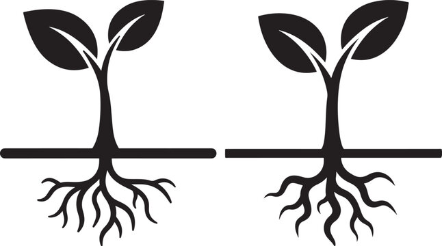 Two young plants with visible roots growing from soil silhouette