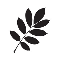 Walnut Leaf Silhouette Vector, Flat Walnut Tree Leaf Black Illustration, Compound Walnut Leaf Botanical Shape Design