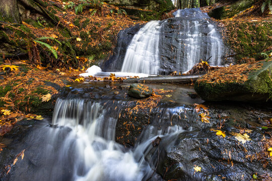 waterfall in the forest