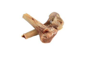 the broken single chicken bone