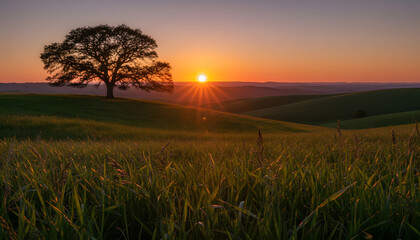 Golden Sunset over Rolling Hills: A majestic silhouette of a solitary tree stands tall on a sun-kissed hill, with the radiant orb of the sunset casting a warm golden glow over the landscape.