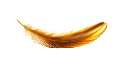 Golden Feather on Transparent Background