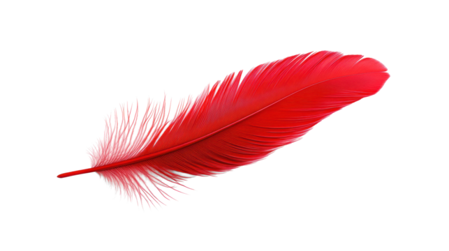 Red Feather on Transparent Background
