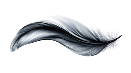 Elegant Black Feather on Transparent Background