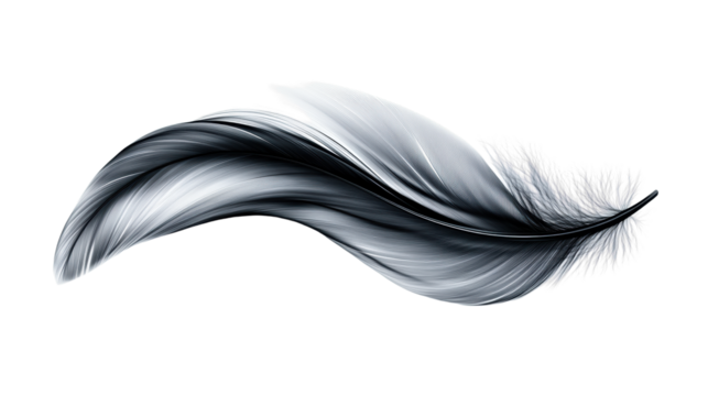 Elegant Black Feather on Transparent Background