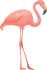 Pink flamingo. Exotic beach bird cartoon icon