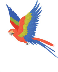 Flying macaw. Colorful parrot. Tropical cartoon bird