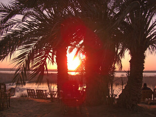 Egypte, coucher de soleil sur l'Oasis de Siwa