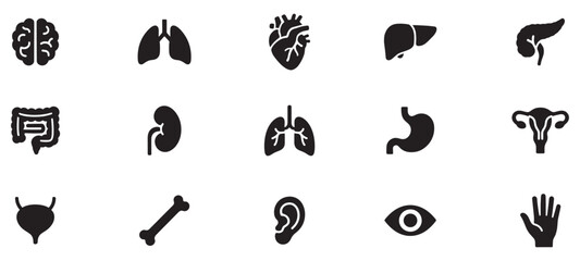 Human organ, anatomy icon set. Vector glyph pictograms of brain, heart, lungs, liver, stomach, intestine, kidney medical, healthcare, and biology concept black silhouette illustration. EPS 10