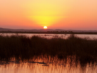 Egypte, coucher de soleil sur l'Oasis de Siwa