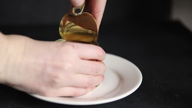 Foie gras pate goose liver delicacy tasty snack fresh gourmet food background on the table rustic top view copy space