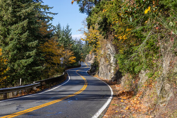 Fototapeta premium road in autumn