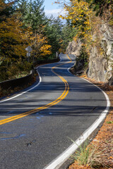 Fototapeta premium road in autumn