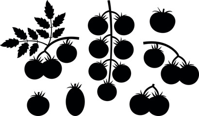 Tomato silhouette. Isolated tomato silhouette on white background