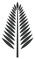 Fototapeta premium Stylized Palm Frond Vector Illustration, Isolated Silhouette of Palm Leaf, Tropical Plants