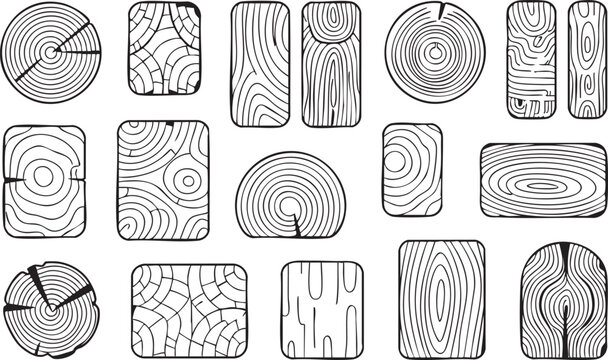 Handdrawn presents various wood cut sections with distinct ring patterns and transparent background