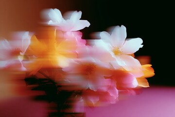 Abstract flower bouquet, motion blur effect with bright pink and yellow blooms and warm light on a light background. Artistic photography