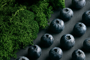 Still life of fresh blueberries scattered on a dark slate surface with green moss. Natural, organic food concept with moody light and copy space.
