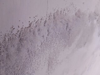 Close-up of black mold or efflorescence (salt deposits) on a white, textured wall surface. A common household problem indicating moisture and dampness issues. Abstract texture background.