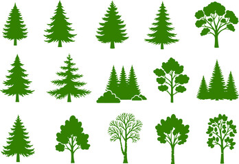 Overgrown patch. Coniferous forest with firs and pines. Landscape with trees and grass. Silhouette picture. Isolated on white background. Vector.
