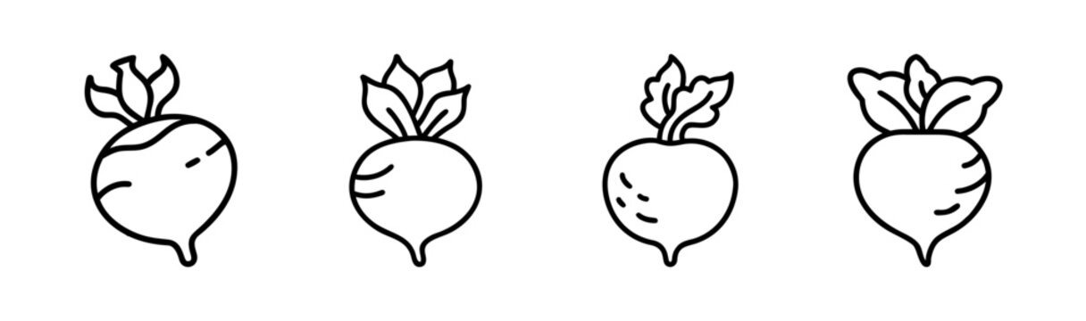 Vector rutabaga illustration scalable vegetable icon