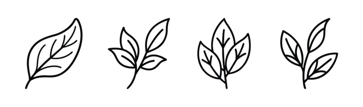 Stylized sage leaf vector illustration icon simple green plant