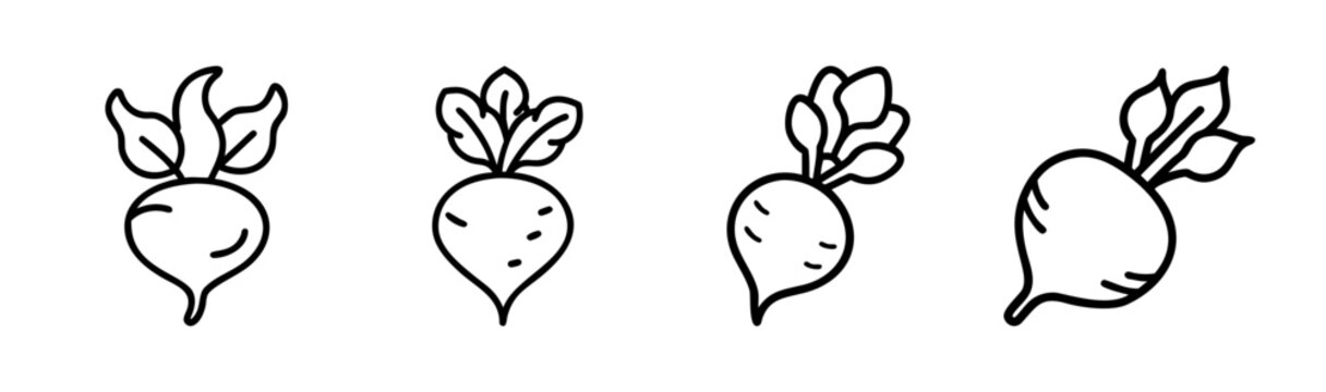 Vector illustration of a turnip root vegetable with greens