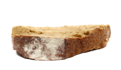 Integral dark bread slice with different seeds isolated on white background, side view