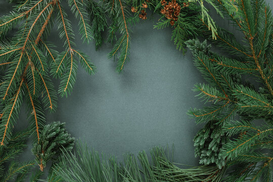 Overhead view of fir branches arranged as a border on a green background