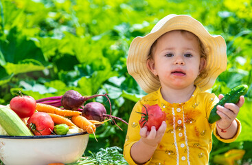 Child in the vegetable garden. selective focus.
