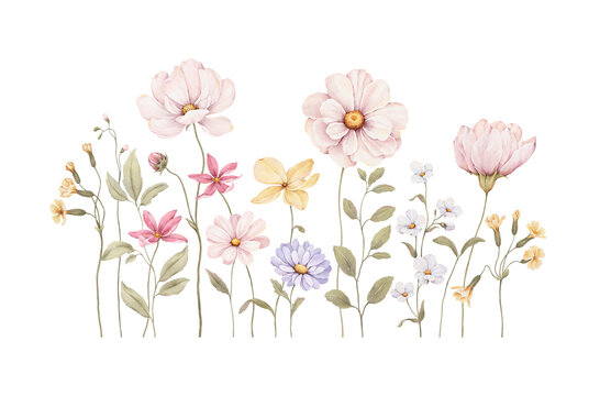 Watercolor cute floral border with delicate colored flowers and green plants. Isolated illustration for cute design wallpapers, mural for childish room, invitation or greeting cards.