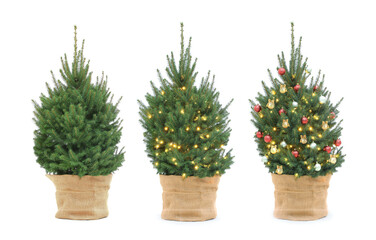 Christmas tree decorating with string lights and festive ornaments. Steps on white background, collage